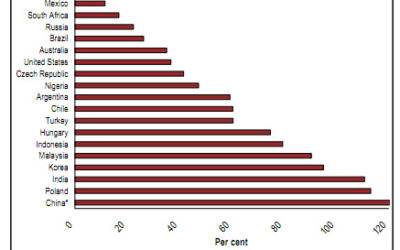Wages, profits and labour productivity in South Africa: A reply