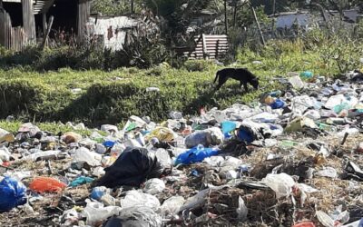 Makana Municipality put on probation