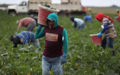 Migration is a class issue