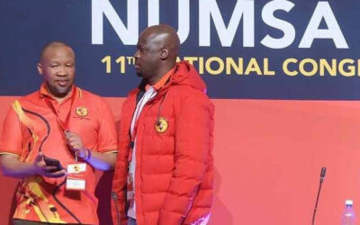 Can a snake be both pet and carrier of deadly poison? THE GOOD THE BAD AND THE UGLY IN NUMSA