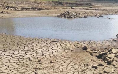 WATER FOR PROFIT NOT USE: THE CASE OF NELSON MANDELA BAY