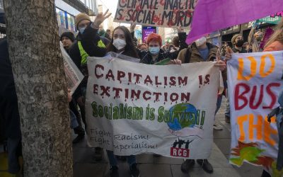 Beyond the GNU and its deceits: the poverty of analysis