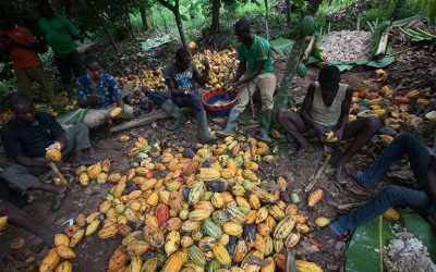 Breaking the trade chains that perpetuate food for the few and hunger for the many (Part Three)