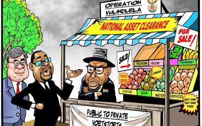 Treasury’s Operation Vulindlela is privatisation of the South African state