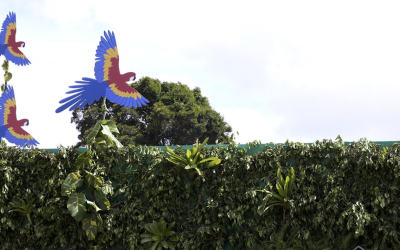 COP 30: entrenching the crisis of climate politics