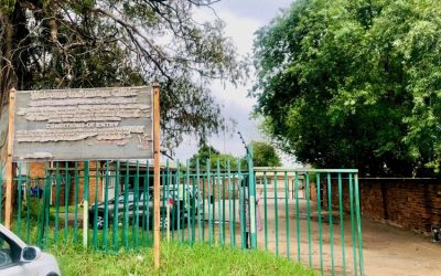 The story of a victim of Operation Dudula